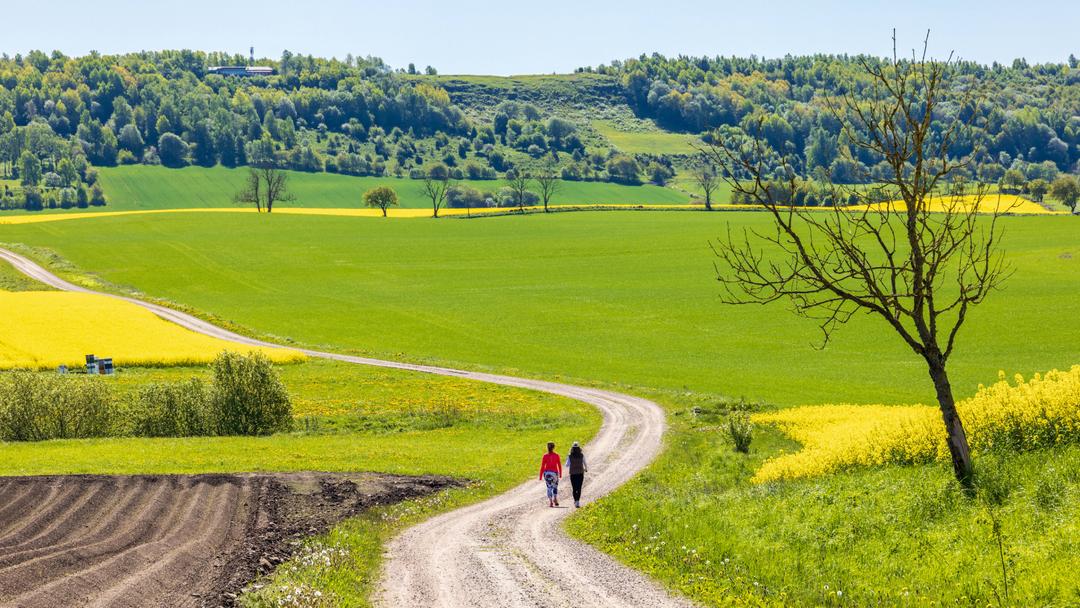 Två kvinnor promenerar längs grusväg.